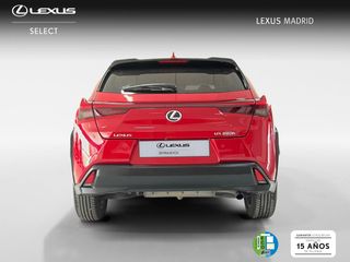 Lexus UX 2.0 250h Business