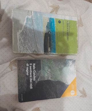 Libri Italo calvino ed Elsa Morante