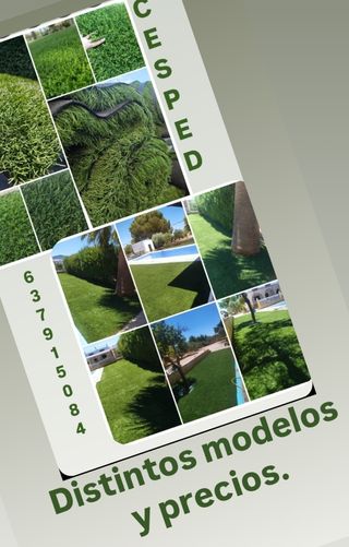 Césped reciclado