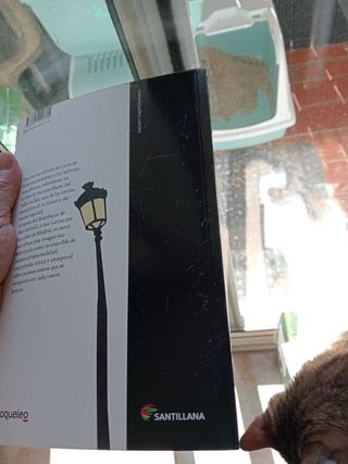 Luces de bohemia (Clásicos Loqueleo) (Spanish E...