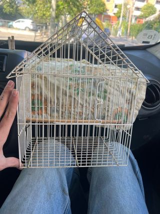 Jaula pajaro