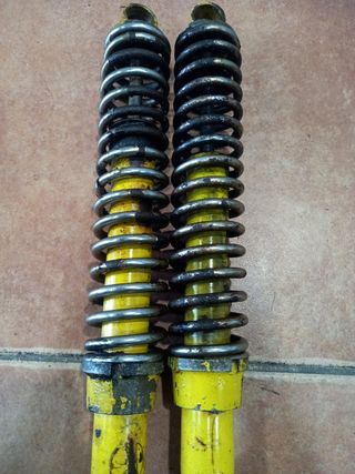 Juego Amortiguadores Betor 34