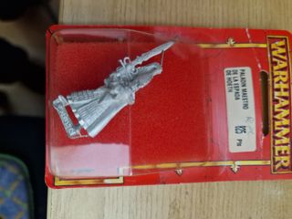 Paladin Maestros Espada Altos Elfos (Miniaturas)