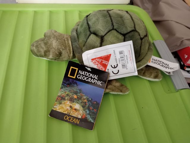 Peluche Tartaruga National Geographic