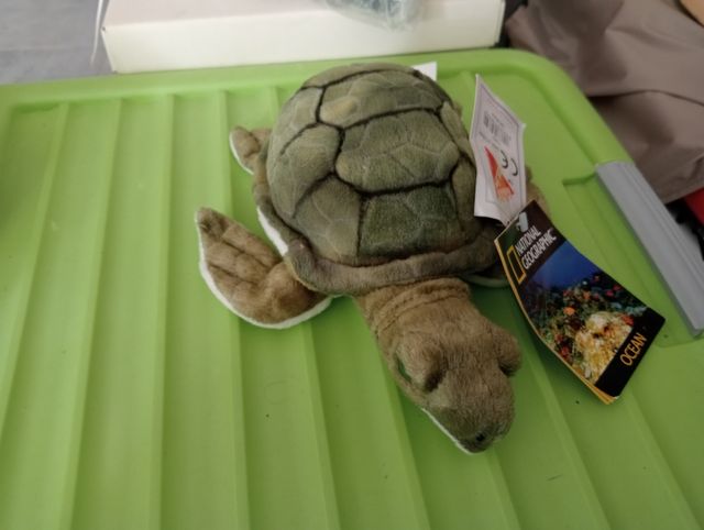 Peluche Tartaruga National Geographic