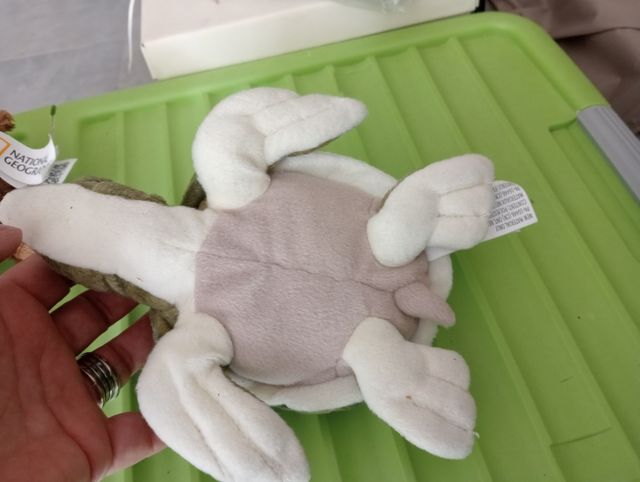 Peluche Tartaruga National Geographic