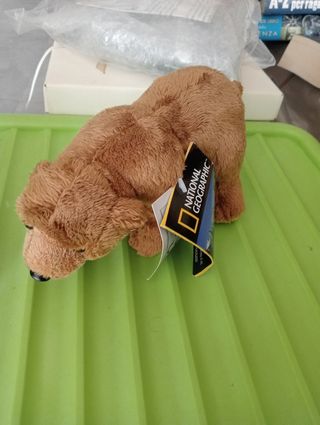Peluche Orso National Geographic