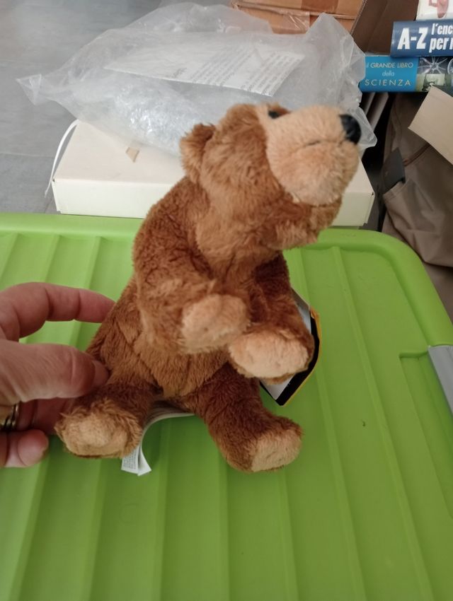 Peluche Orso National Geographic