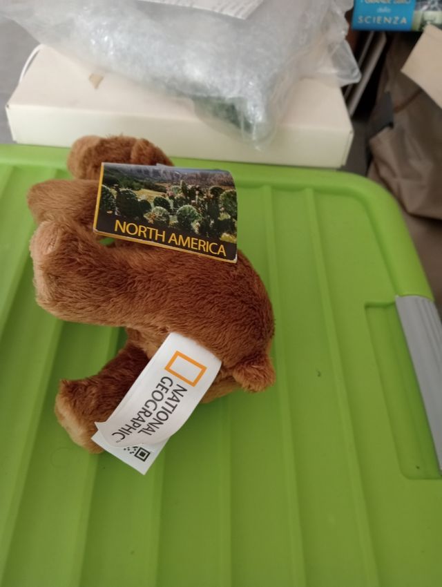 Peluche Orso National Geographic