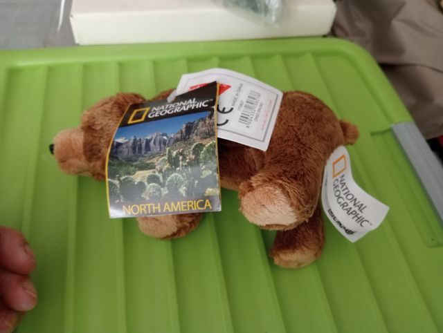 Peluche Orso National Geographic