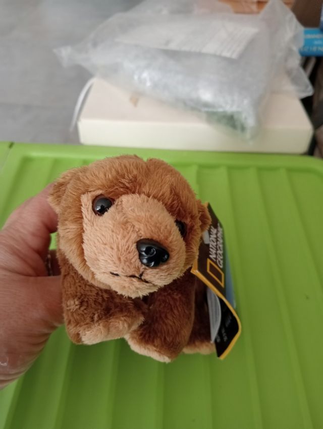 Peluche Orso National Geographic