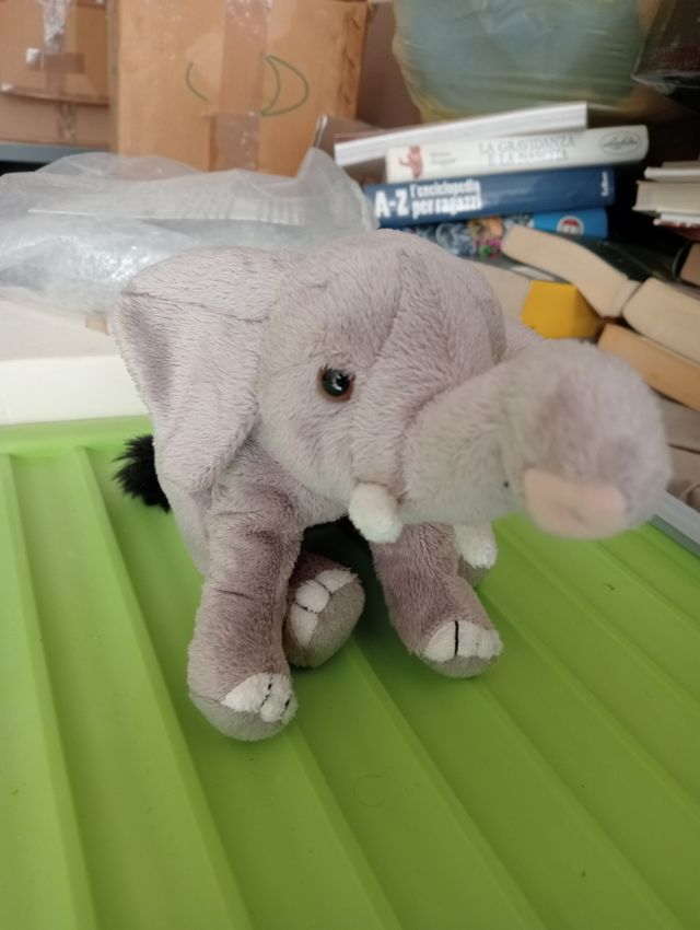 Elefante peluche National Geographic