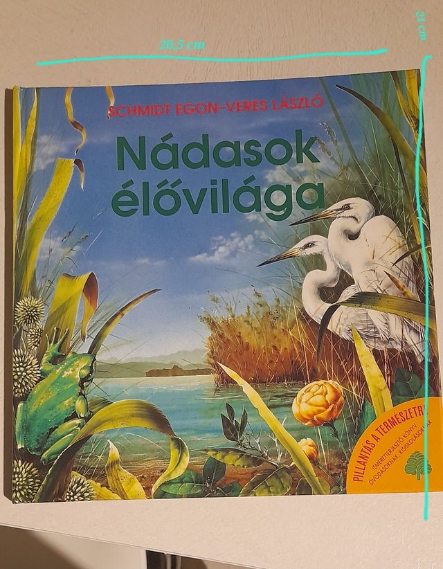 Nádasok élőviláge libro per bambini