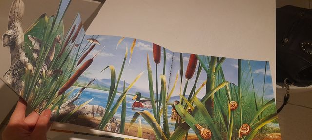 Nádasok élőviláge libro per bambini