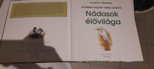 Nádasok élőviláge libro per bambini