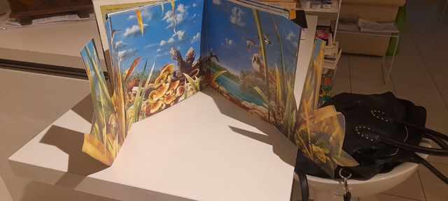 Nádasok élőviláge libro per bambini