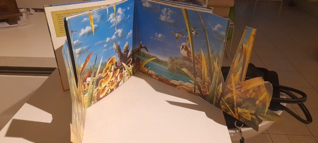 Nádasok élőviláge libro per bambini