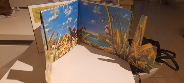 Nádasok élőviláge libro per bambini