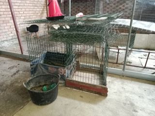 Jaula para gallos