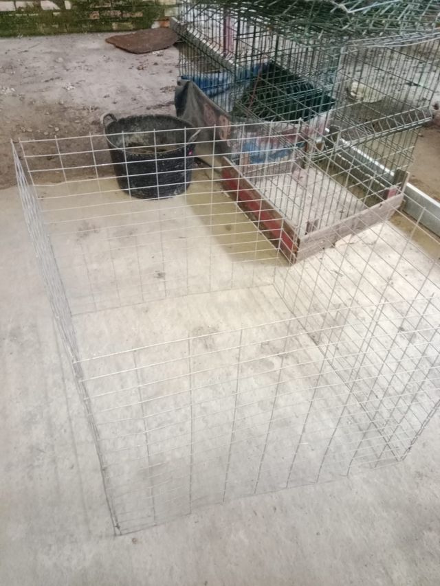 Jaula para gallos 