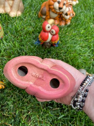 Fenicotteri arca noe thun 