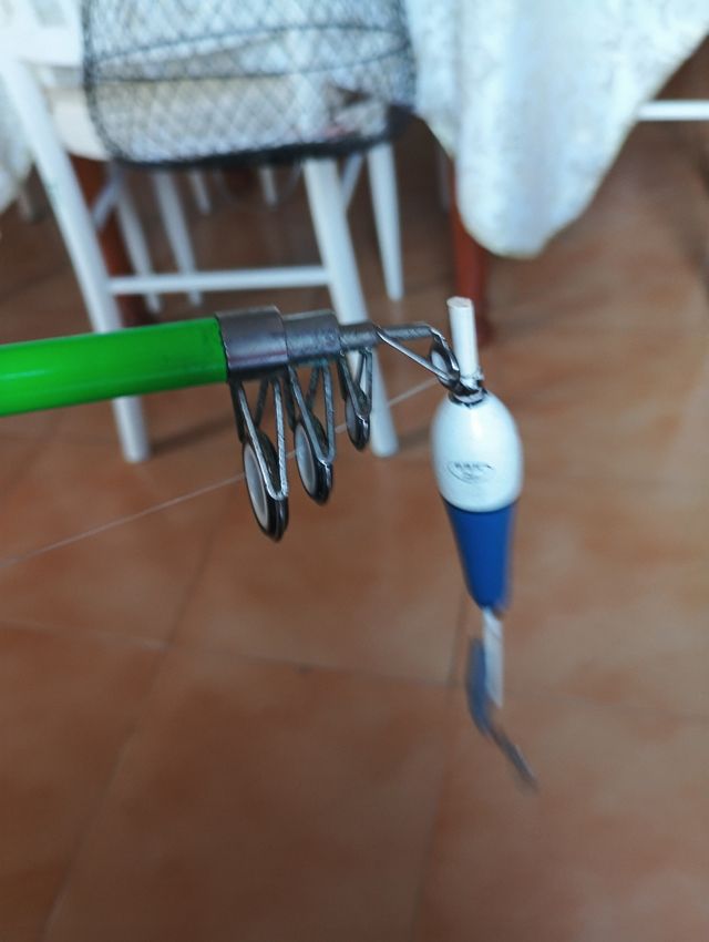 Caña de pescar con accesorios