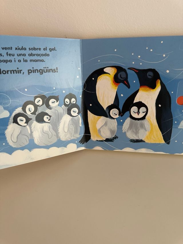 A dormir! Els animals polars