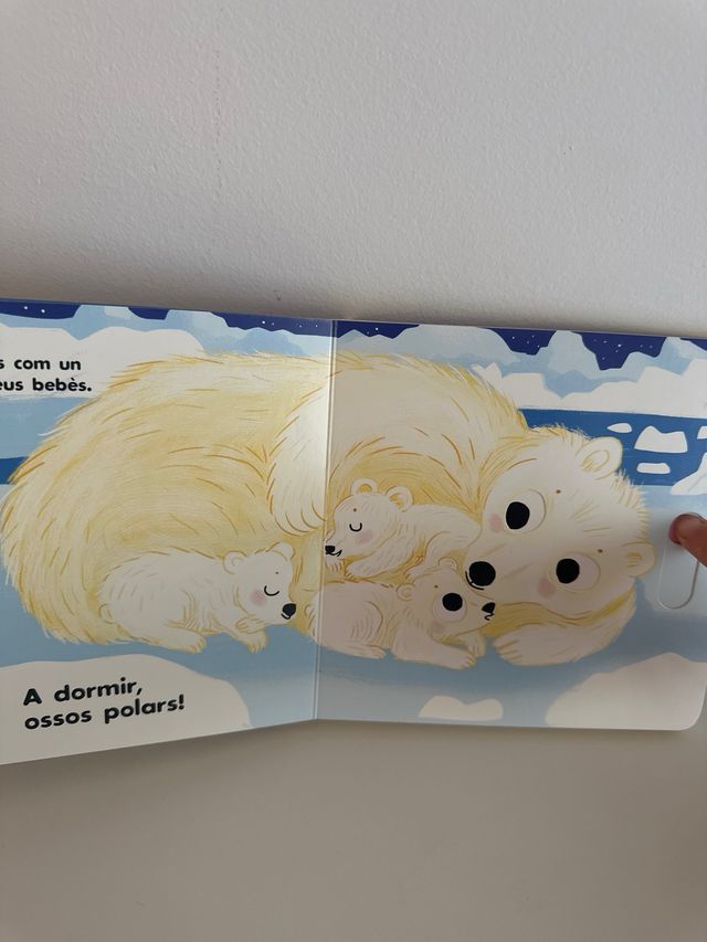A dormir! Els animals polars