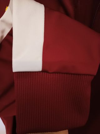 Sudadera Puma chándal Portugal