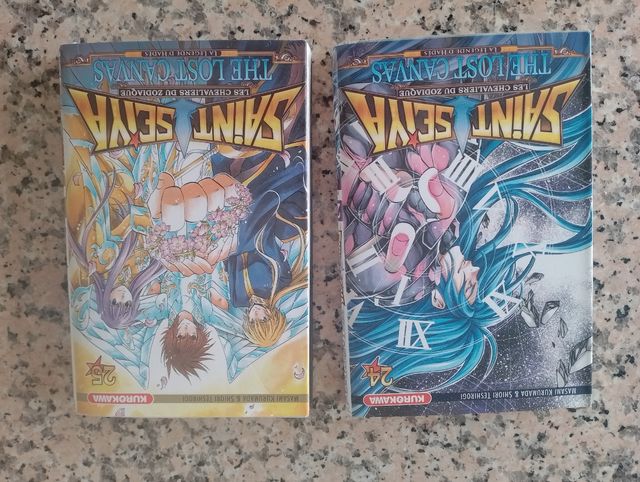 Tomos 24 y 25 de la serie Lost Canvas en francés