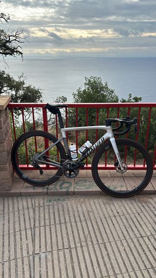 Bicicleta Specialized Tarmac sl 7 expert talla 54