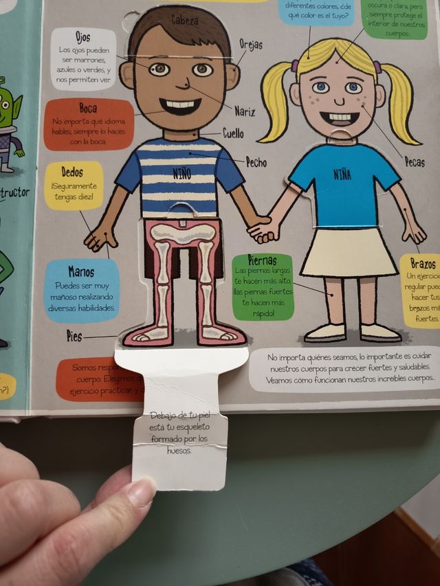 El cuerpo humano libro infantil
