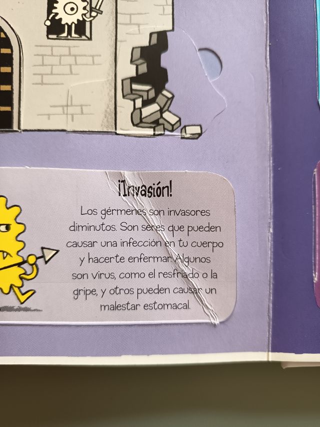 El cuerpo humano libro infantil