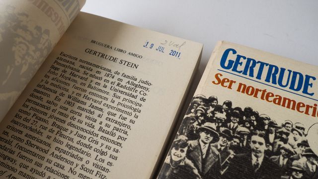 Ser norteamericanos, Gertrude Stein