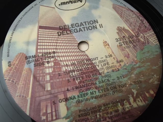 Vinilo Delegation - Delegation II