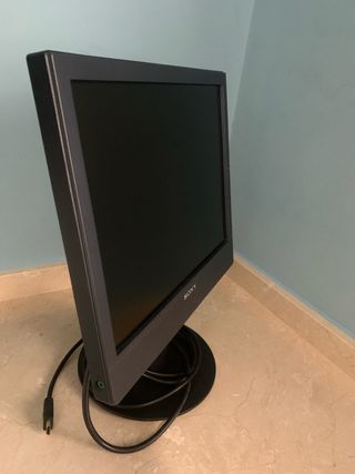 Monitor PC Sony