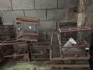 Jaulas de pájaros 