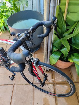 Bicicleta BH Prisma Carbono 105.