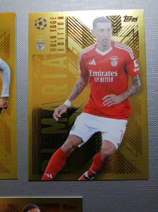 Match attax extra gold edge