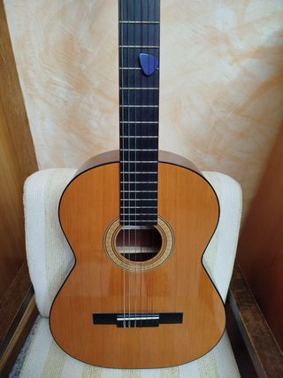 Guitarra Admira Paloma