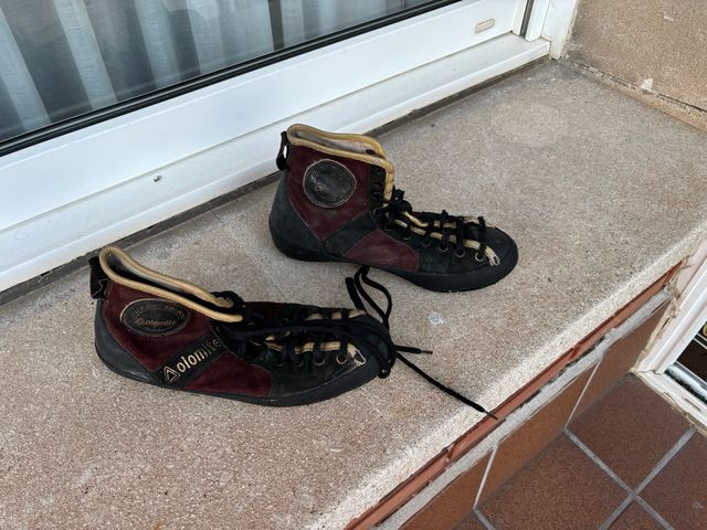 Gatos escalada vintage