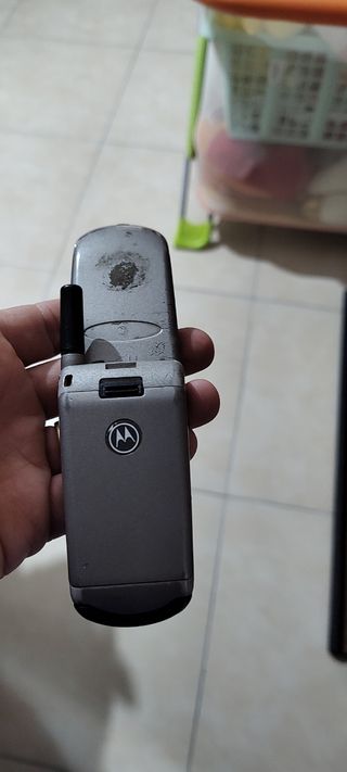 Set motorola 