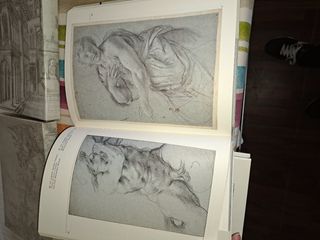 3 libri del Disegno