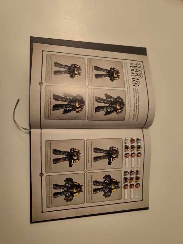 Warhammer 40k: Silver Templars