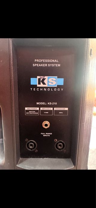 Altavoz KS-210 Profesional