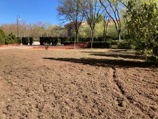 JARDINERO