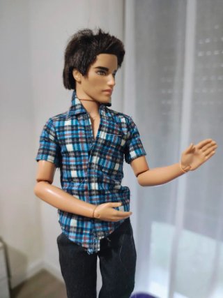 Barbies de todo tipo