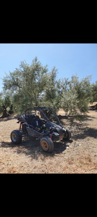 Buggy 250cc Carter interceptor gtr.