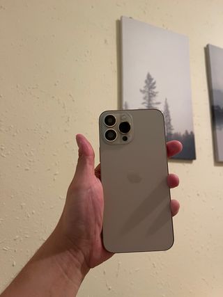 Iphone 12 pro max 