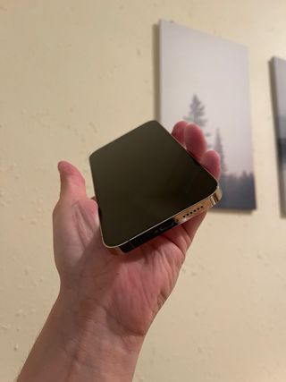 Iphone 12 pro max 